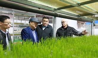 慈孝堂網(wǎng)站新聞首頁(yè)圖片